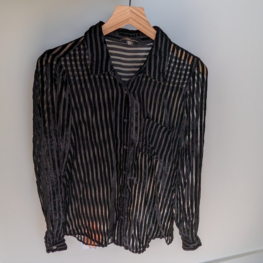 Velvet Striped Sheer Button-up Top